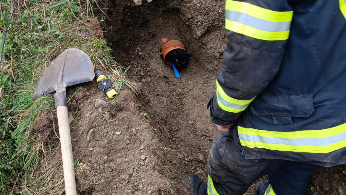 Einsatz Tierrettung