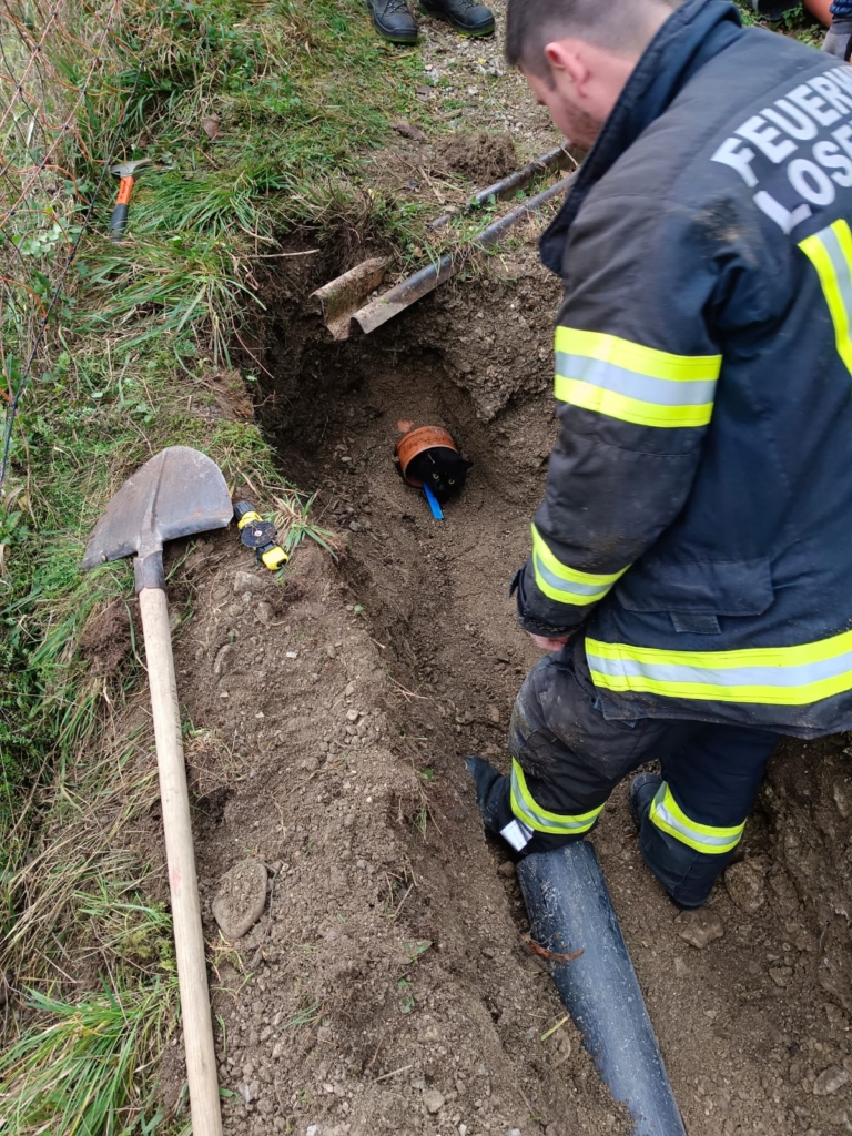 Einsatz Tierrettung